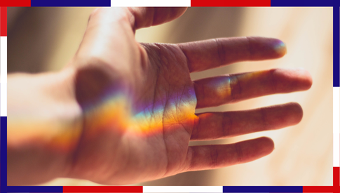 Hastalık Teşhis Eğitimi